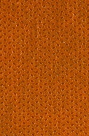 close up of orange texture